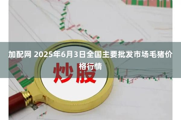 加配网 2025年6月3日全国主要批发市场毛猪价格行情