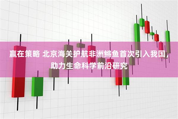 赢在策略 北京海关护航非洲鳉鱼首次引入我国，助力生命科学前沿研究