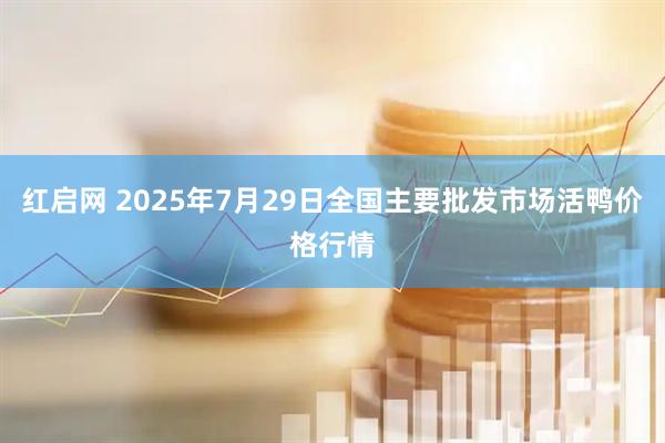红启网 2025年7月29日全国主要批发市场活鸭价格行情