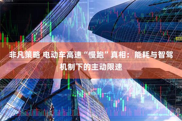 非凡策略 电动车高速“慢跑”真相：能耗与智驾机制下的主动限速