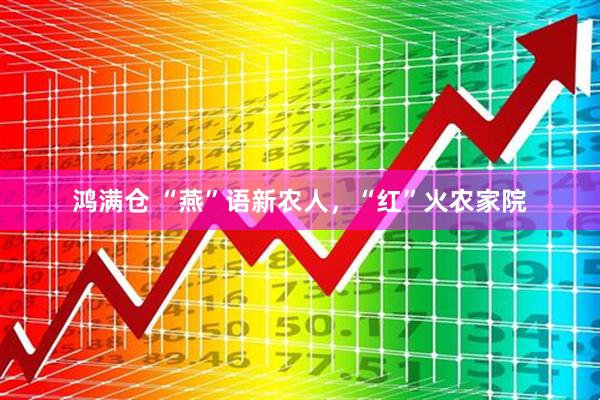 鸿满仓 “燕”语新农人，“红”火农家院