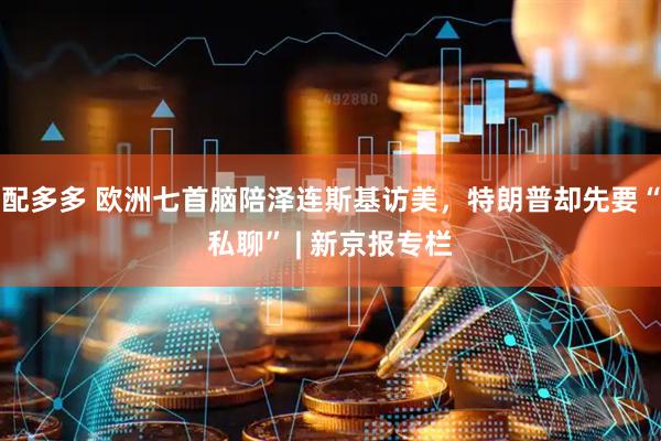 配多多 欧洲七首脑陪泽连斯基访美，特朗普却先要“私聊” | 新京报专栏