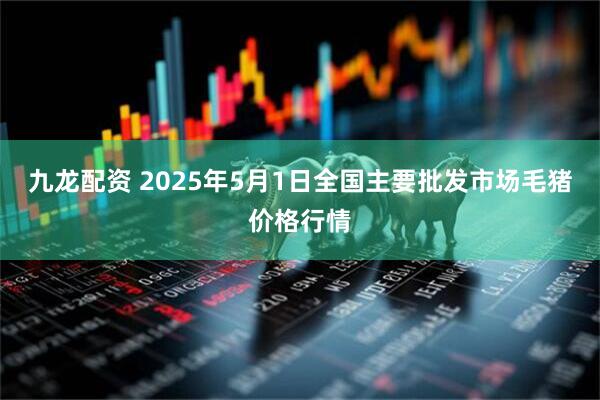九龙配资 2025年5月1日全国主要批发市场毛猪价格行情